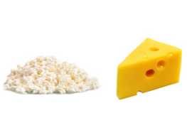 A túró és a sajt előnyei és azok különbségei