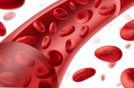 Jak se liší krev od lymfy