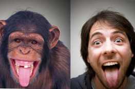 Kakšna je razlika med človekom in opico